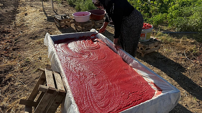 Elazığ'da geleneksel yöntemlerde kadınların yoğun mesaisi