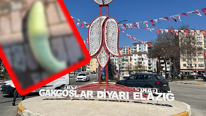 Elazığ'da görenler şaşırdı: Tam 4,5 kilo