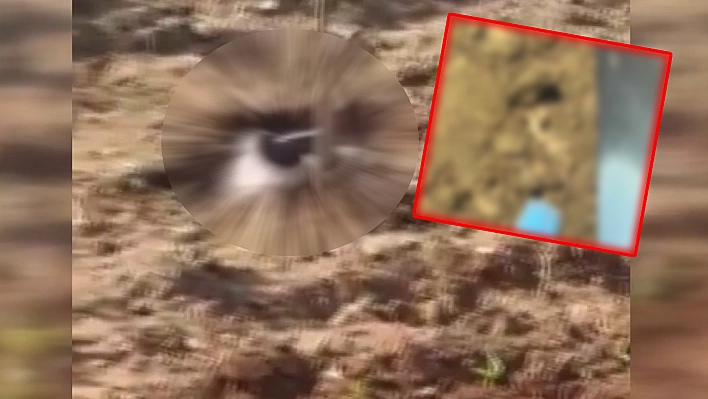 Elazığ'da görüldü! 2 metre boyu görenleri tedirgin etti: Görülmeleri neye işaret?