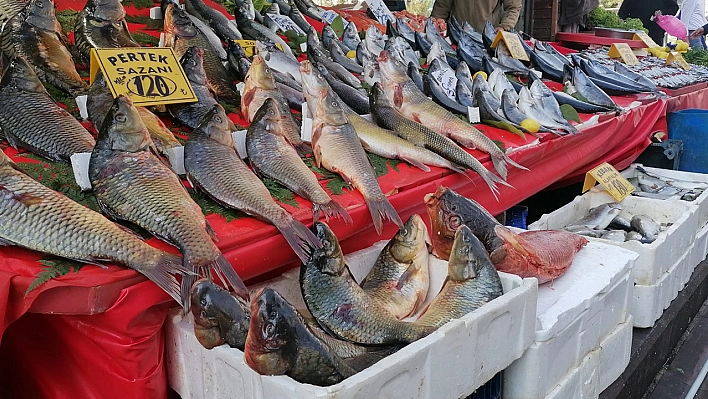 Elazığ'da güncel balık fiyatları