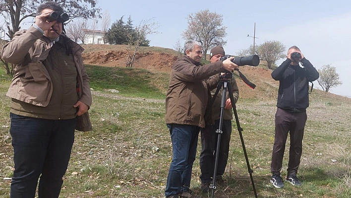 Elazığ'da güncel kuş yoğunluk haritası çalışmaları