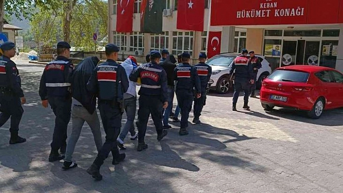 Elazığ'da Hayvan Çiftliğinden Hırsızlık Yapan 4 Şüpheli Yakalandı