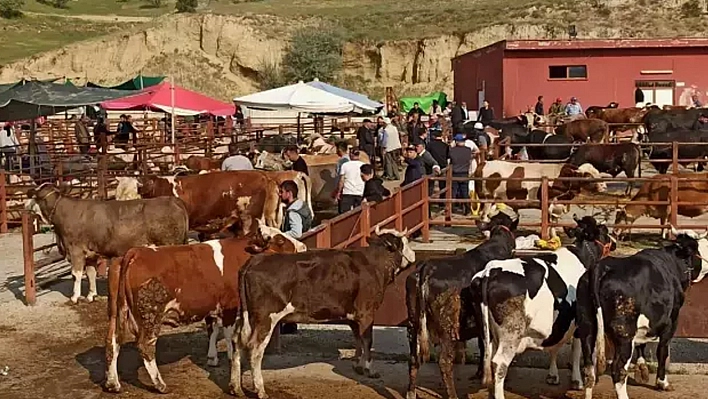 Elazığ'da hayvan pazarları ikinci bir emre kadar kapatıldı