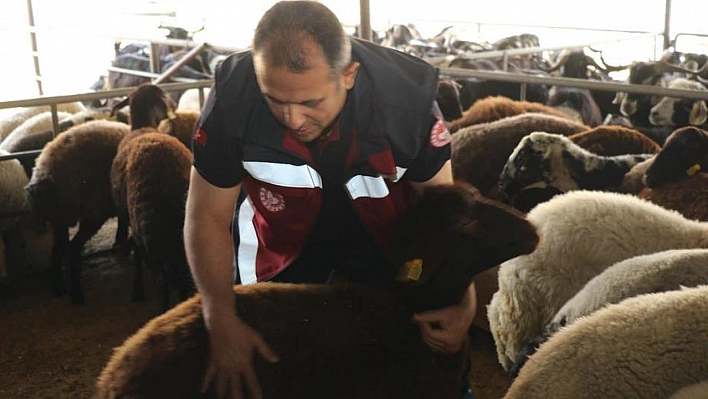 Elazığ'da Hayvan Satış Yerleri Denetlendi