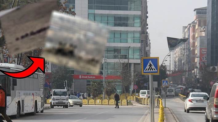 Elazığ'da her yerde karşımızı çıkıyorlar, önlemi kim alacak?