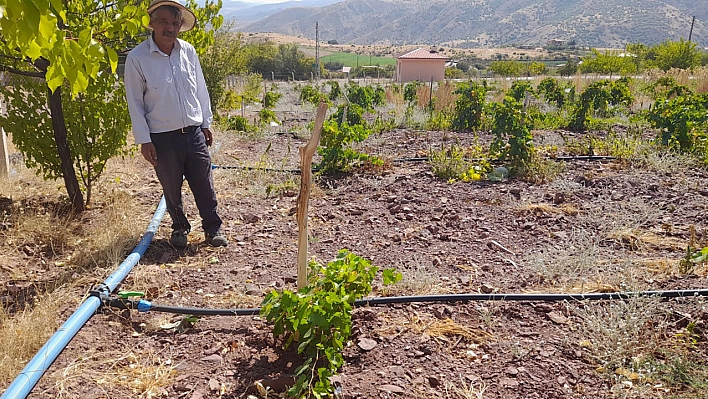 Elazığ'da Hibe Desteğinde  Tarih Muamması, Yüzlerce Çiftçi Mağdur Edildi