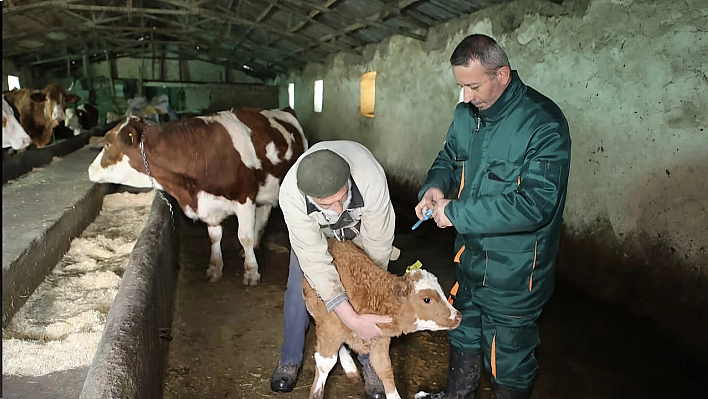 Elazığ'da ilçelerin kabusu sona erdi