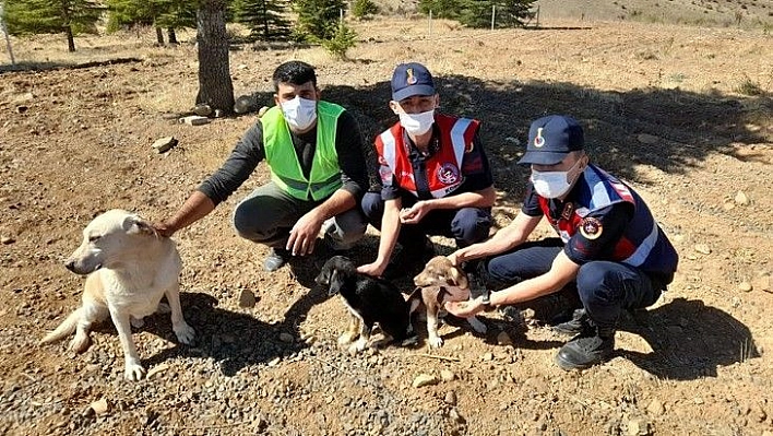 Elazığ'da jandarma ekipleri çocuklarla bir araya geldi