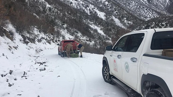 Elazığ'da Jandarma, Yaban Hayatı İçin Doğaya Yem Bıraktı