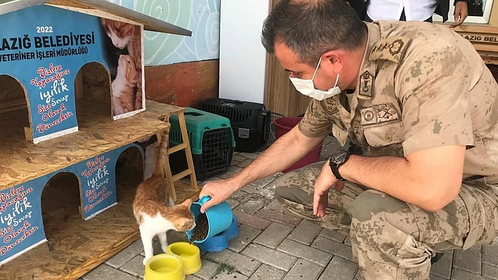 Elazığ'da jandarmadan 4 Ekim Dünya Hayvanları Koruma Günü etkinliği