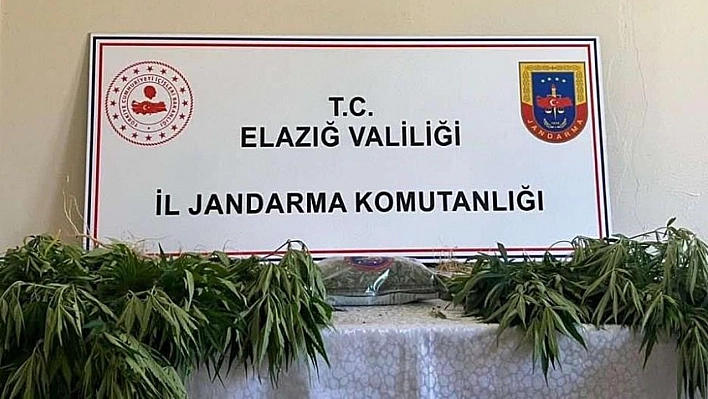 Elazığ'da jandarmadan eş zamanlı uyuşturucu operasyonu