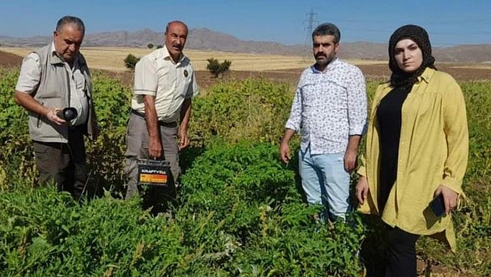 Elazığ'da kaçak avcıların kullandığı, bıldırcın sesi çıkaran cihaz ele geçirildi