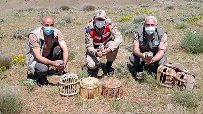 Elazığ'da kaçak avda yakalanan 3 şahsa işlem yapıldı