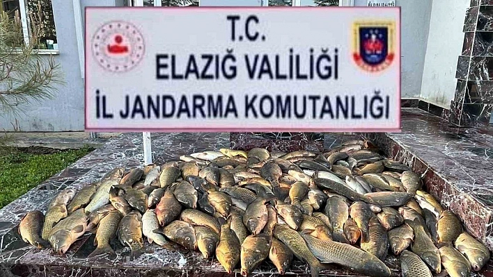 Elazığ'da kaçak balık avı yapan 3 şahsa, 49 bin lira ceza