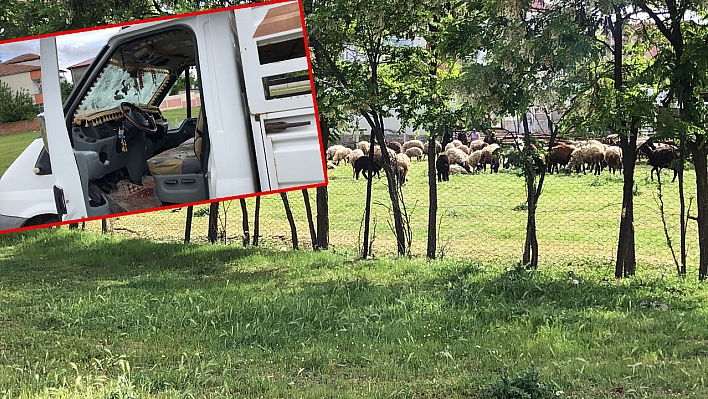 Elazığ'da Kanlı, Sürü Otlatma Kavgası