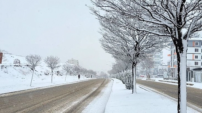 Elazığ'da Kar Yeniden Başladı