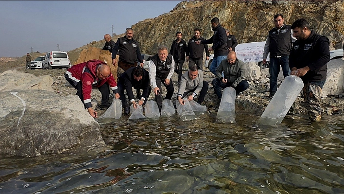Elazığ'da Karakaya Baraj Gölü'ne 420 bin yavru balık bırakıldı