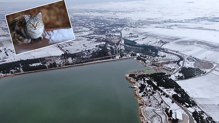 Elazığ'da kartpostallık görüntüler