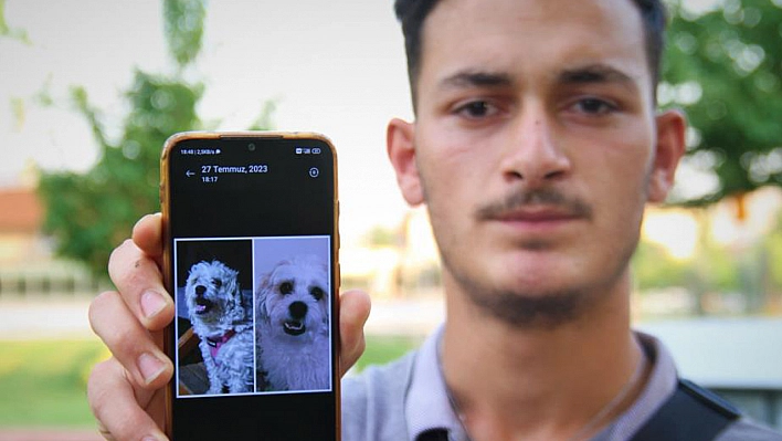 Elazığ'da Kaybolan Köpeği Bulana Para Ödülü!