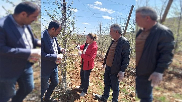 Elazığ'da Kayısı Ve Elma Entegre Bahçeleri Kontrol Edildi