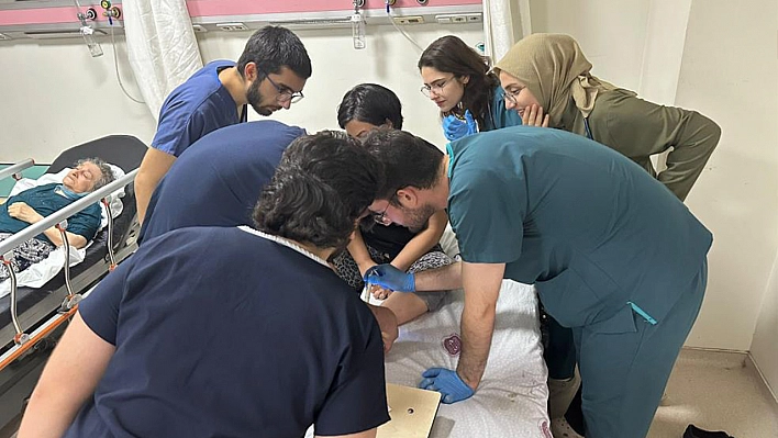 Elazığ'da kene vakası!