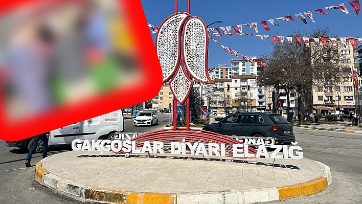 Elazığ'da kilogramı 25 liraya düşen sebze kilo kilo satın alındı