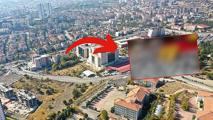 Elazığ'da kilosu 150 TL'ye düştü almaya kalmadı