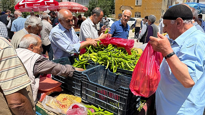 Elazığ'da kilosu 20 liraya oldu poşet poşet aldılar