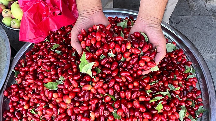 Elazığ'da Kilosu 70 Liradan Satılıyor İçinde Bütün Vitaminleri Bulunduruyor