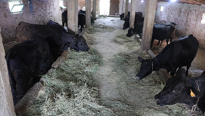 Elazığ'da 'Kırsalda Bereket' projesi ilk sonuçlarını verdi