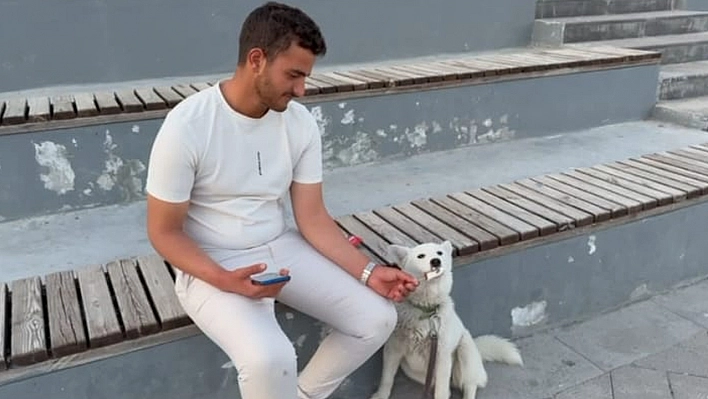 Elazığ'da köpeğin dondurma aşkı görenleri gülümsetti