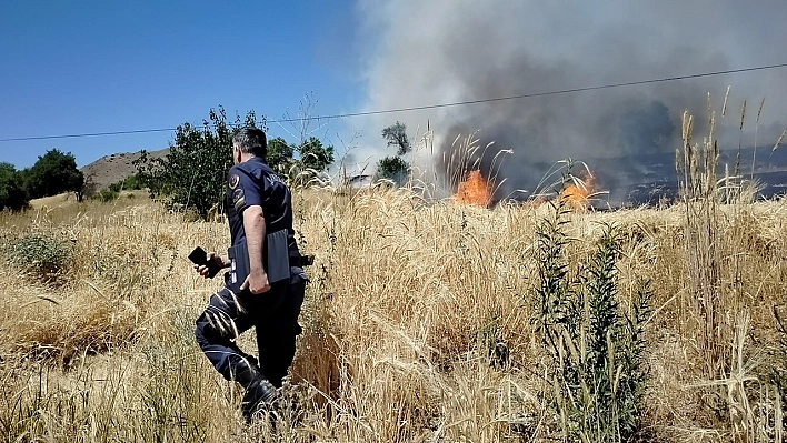 Elazığ'da korkutan yangın: Onlarca dönümlük alan kül oldu