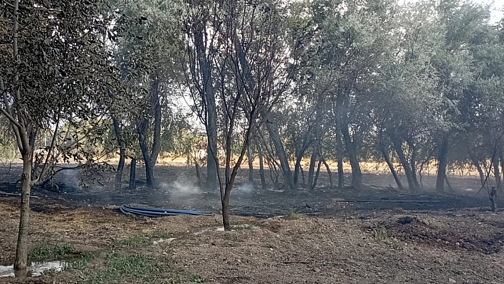 Elazığ'da Korkutan Yangın!