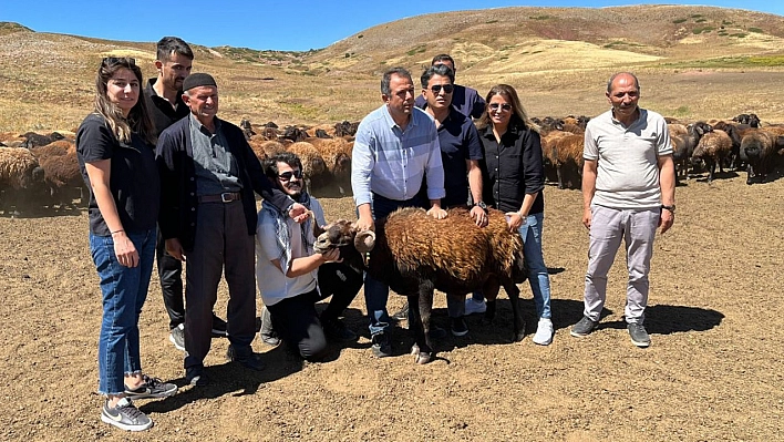 Elazığ'da Küçükbaş Hayvan Yetiştiricilerine Büyük Destek