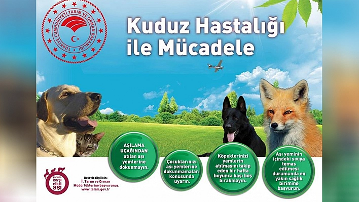 Elazığ'da Kuduza Karşı Havadan Aşı Uygulaması