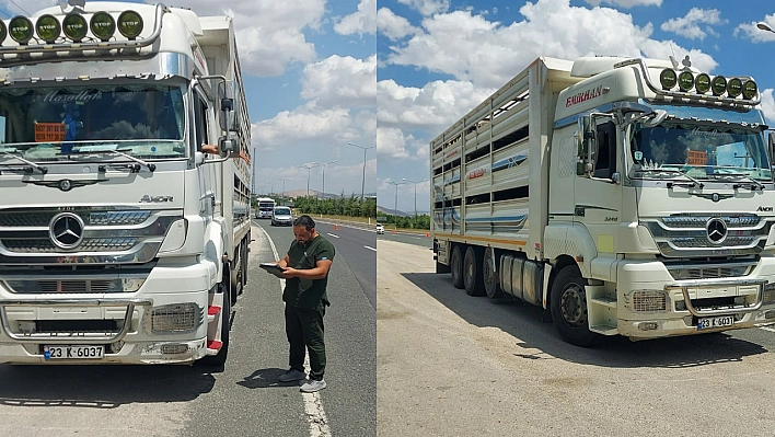 Elazığ'da Kurban Bayramı Öncesi Hayvan Sevkiyatı Denetimi Yapıldı