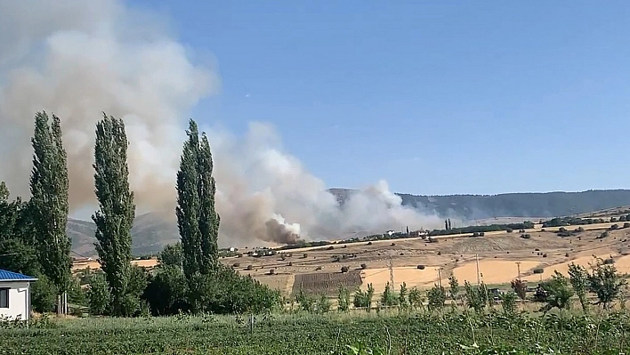 Elazığ'da Kutuşağı'nda Anız Yangını Çıktı