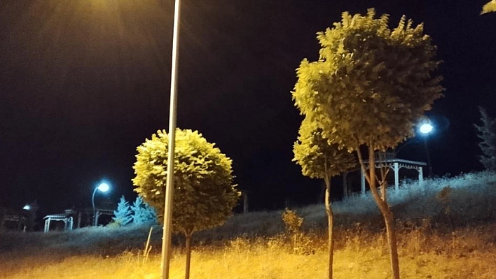 Elazığ'da kuvvetli rüzgar etkili oldu