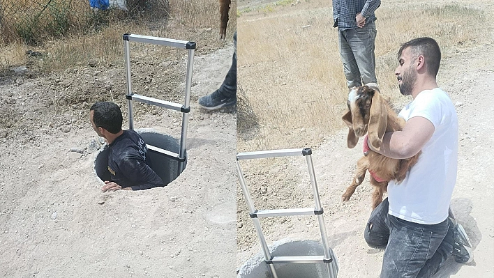 Elazığ'da kuyuya düşen hayvanlar itfaiyenin müdahalesiyle kurtarıldı
