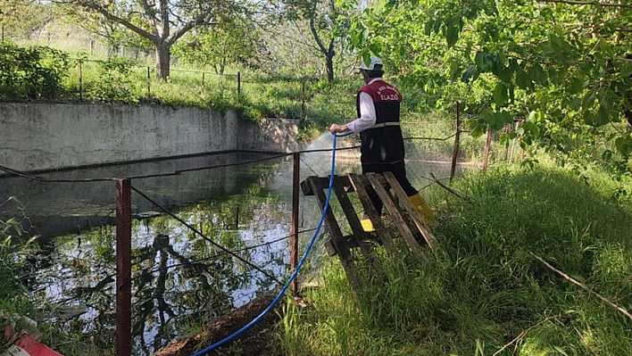 Elazığ'da larva ile mücadele çalışmaları sürüyor
