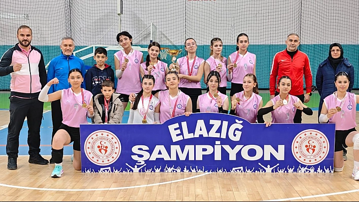 Elazığ'da  NFK  Anadolu Lisesi kız öğrencilerinden büyük başarı!