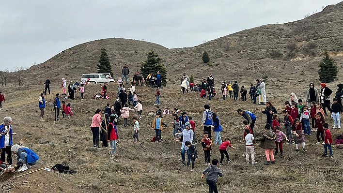 Elazığ'da Öğrenciler Fidan Dikim Etkinliğinde Buluştu