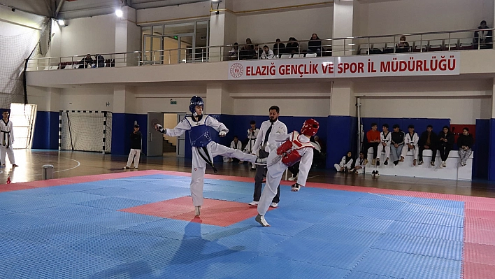 Elazığ'da okul sporları gençler taekwondo müsabakaları tamamlandı