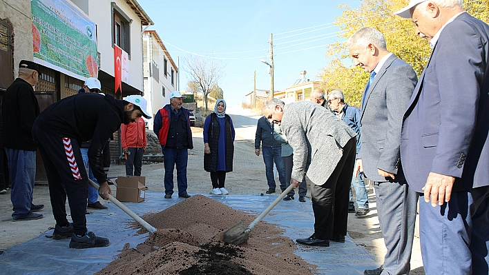 Elazığ'da organik mercimek üretimi artıyor