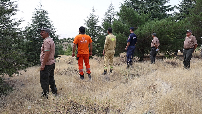 Elazığ'da orman ekipleri denetimlerini son hız sürdürüyor