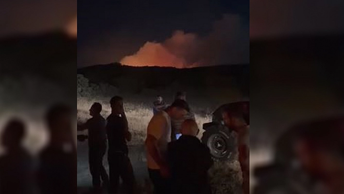 Elazığ'da Orman Yangını Kontrol Altına Alındı