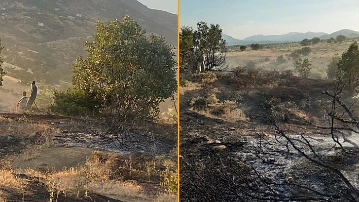 Elazığ'da ormanlık alanda çıkan yangın büyümeden söndürüldü