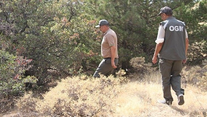 Elazığ'da, ormanlık alanlarda sıkı denetim