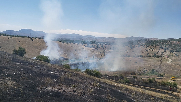 Elazığ'da Ot Yangını