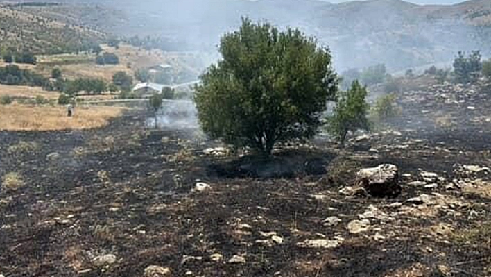 Elazığ'da otluk alanda çıkan yangın söndürüldü